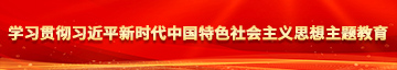 后入黑逼学习贯彻习近平新时代中国特色社会主义思想主题教育